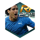 real football 2013 icon